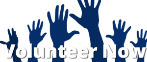 Volunteer Now Hands